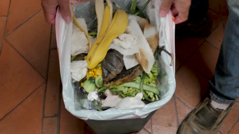 Best Yard Waste Removal  in Edinburg, VA
